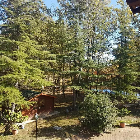 Apartment Tenuta L'ape Regina Pralormo