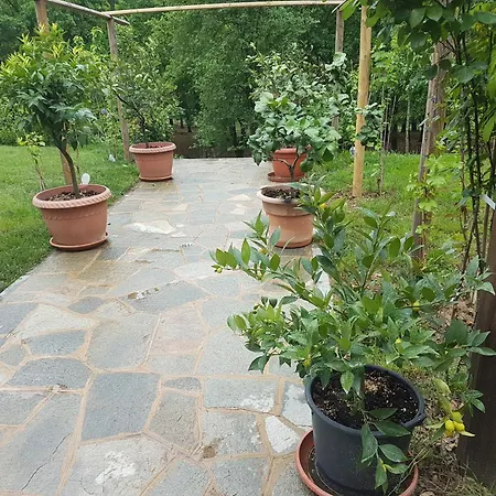 Apartment Tenuta L'ape Regina Pralormo