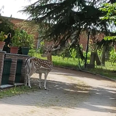 Tenuta L'ape Regina