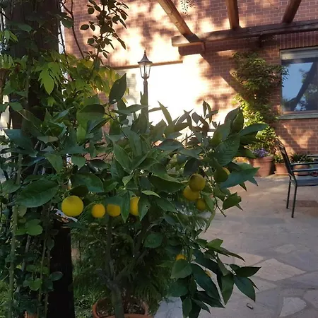Tenuta L'ape Regina Apartment *