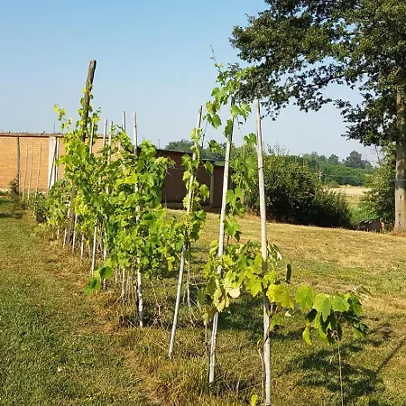 Tenuta L'ape Regina Pralormo
