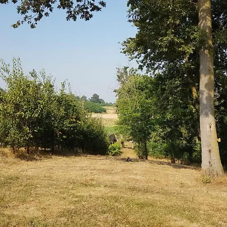 Apartment Tenuta L'ape Regina