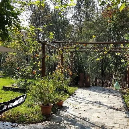 Tenuta L'ape Regina